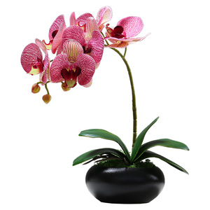 Maceta con Flores Artificiales de Phalaenopsis de <span class=keywords><strong>Goma</strong></span> Suave de Alta Calidad al por Mayor para Decoración del Hogar - Product Image 2