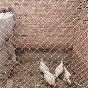 Fil de clôture en mailles losangées galvanisé à chaud de haute qualité, 6 pieds, calibre 9, à prix avantageux - Product Image 1