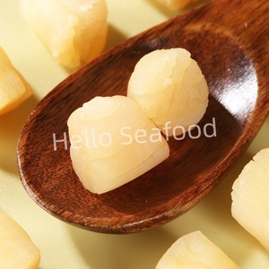 หอยเชลล์แห้งแบบพรีเมี่ยมที่มีสีทองสวยงามและเนื้ออวบอ้วน - Product Image 3