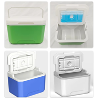 Glacière isotherme portable 5L pour aliments frais et activités de plein air