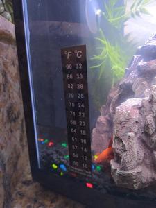 Miếng Dán Đọc Chỉ Báo Nhiệt Độ Thay Đổi Màu 18-34 Độ C Dải Nhựa Nhiệt Kế - Product Image 5