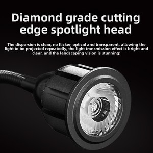 Focos de acuario Yee-<span class=keywords><strong>para</strong></span> paisajismo sudamericano-Focos de tanque nativo de observación de tres lagos <span class=keywords><strong>para</strong></span> acuarios - Product Image 3