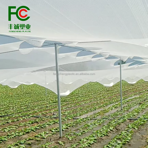 Yemen Anti Hail Netting Features Strong Anti Hail <strong>Net</strong> for Comprehensive Anti Protection for <strong>Mango</strong> and Citrus From Hail - Product Image 6