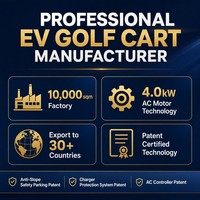Carrito de Golf Eléctrico de 6 Plazas, Motor de CA de 4.0KW, Suspensión MacPherson, Batería de Litio de 72v, OEM ODM