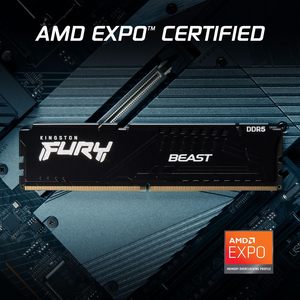 Vua S tấn Fury Beast 32GB 6000mt/S DDR5 cl30 Bộ nhớ máy tính để bàn | AMD EXPO | Plug N Play | mô-đun đơn | KF560C30BBE-32 - Product Image 2