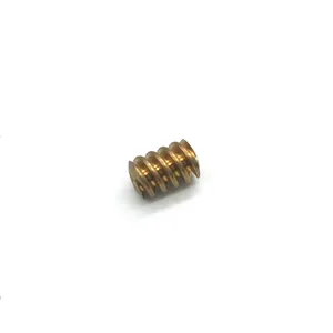 OEM Manufacturer Customized Aluminum CNC Turning Parts For Car Factory Parts Brass Worm Gear