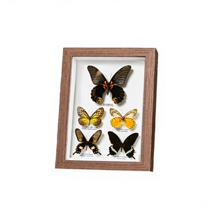 Wholesale Eco-Friendly Customized <b>Size</b> Photo <b>Frame</b> 4x6 6x8 8x10 <b>A4</b> Creative DIY Dried Flower 3D Wood Shadow Box - Product Image 3