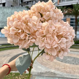 Hydrangea artificielle bleu clair à 5 têtes, hydrangea français, fleurs artificielles blanches pour mariage, décoration murale florale, vente directe d'usine - Product Image 3