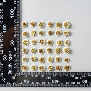 Venta al por mayor de flores secas prensadas Anaphalis <span class=keywords><strong>Sinica</strong></span> flor prensada para DIY funda de teléfono resina Nail Art joyería postal Decoración - Product Image 4