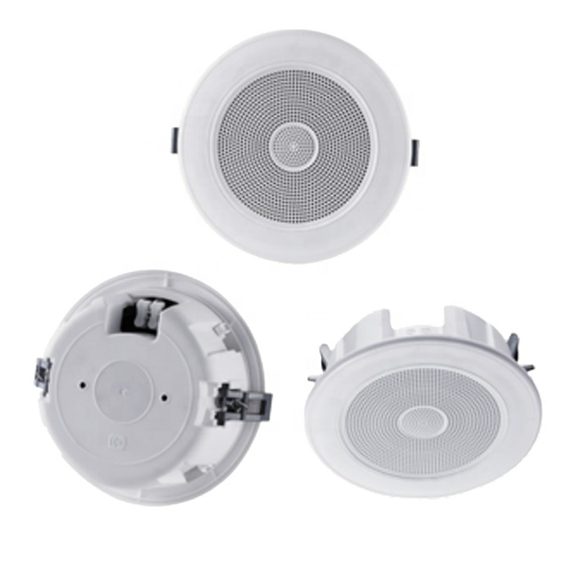 Brand Factory Direct Sale Audio Easy to Install pa Loudspeaker