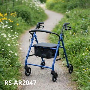 Déambulateur pour personnes âgées avec poignées offrant un soutien à la mobilité et une stabilité accrues pour les aînés à mobilité réduite - Product Image 1