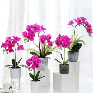 Orchidea Artificiale Viola a 7 Teste con Effetto Realistico in <span class=keywords><strong>Vaso</strong></span> Antiurto <span class=keywords><strong>per</strong></span> Pasqua e Laurea - Product Image 1