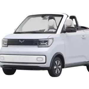 Wuling Hongguang Two seater New Energy Micro Adult Intelligent Mini Convertible Electric Vehicle