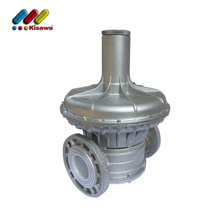 Wholesale custom adjustable stainless steel lpg gas pressure regulating valve