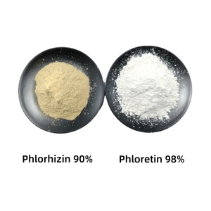 Chất lượng cao <span class=keywords><strong>phlorizin</strong></span> 90% Vỏ Táo chiết xuất <span class=keywords><strong>Apple</strong></span> gốc vỏ chiết xuất bột - Product Image 3