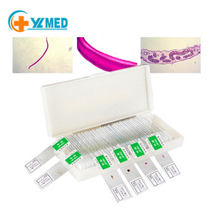 50 Tấm Trượt Chuẩn Bị Cho Kính Hiển Vi Sinh Trùng Y Tế Bộ Mẫu Vật Khác Nhau Tấm Trượt Dạy Học Giáo Dục Đại Học - Product Image 1