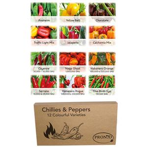 Lot de 12 pièces de piments et poivrons pour la plantation de la cuisine à domicile et un cadeau spécial pour les jardiniers - Product Image 2