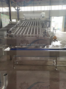 Machine de tri par taille en promotion pour ligne de production de homards, machine à retirer les coquilles de crevettes et de langoustines - Product Image 4