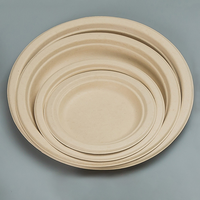 Assiettes à dîner en papier bagasse biodégradable personnalisées RX, compostables, jetables, 10 pièces, style simple et moderne, plusieurs tailles