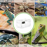 Boîte poubelle acrylique cage pour reptile pour animaux de compagnie avec filet sur le dessus