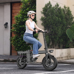 Bicicleta Eléctrica Plegable Híbrida GS5 de 250W con Envío Directo de la UE y EE. UU., al Mejor Precio, con Neumáticos Gruesos de 20 Pulgadas para Todoterreno - Product Image 4