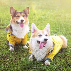 Fashion <b>Waterproof</b> Solid Polyester Cute Modern Outdoor <b>Dog</b> Hoodie British Retro Thicken 4 <b>Legs</b> <b>Dog</b> Jackets Winter Pet Clothes - Product Image 1