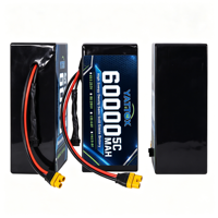 Batterie semi-solide YKX 60000mAh 60Ah avec 800 cycles pour vélos électriques, outils électriques, drones