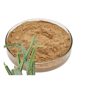 Extrait de Cissus Quadrangularis, poudre naturelle à base de plantes pour la santé des os, les soins des articulations, les compléments alimentaires et les produits ayurvédiques - Product Image 1