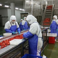 Fraises surgelées IQF en dés, petites, rouges, emballage en vrac de 10 kg, certifiées HACCP, origine CN pour l'exportation