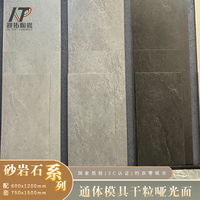 Carreaux de sol en porcelaine Surface mate Carreaux de sol en céramique antidérapants en pierre de sable Bonne qualité 600x1200mm Carreaux antidérapants