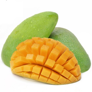 Extracto de Mango en Polvo de Grado Alimenticio 20%-99% Mangiferina, Precio Bajo, Envasado al Vacío en Tambores - Product Image 4