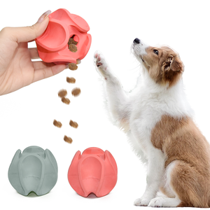 New Pet Đồ Chơi Hình Dạng Cánh Hoa Cao Su Câu Đố Rò Rỉ Nhai Răng Làm Sạch Đồ Chơi Cắn Kháng Chậm Trung Chuyển Con Chó Đồ Chơi - Product Image 1