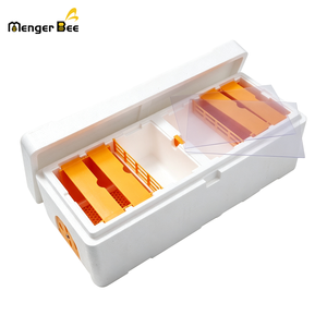 Nouvelle boîte d'élevage et de gestion des larves d'abeilles avec mangeoire à pollen et plateau d'alimentation, couvercle transparent en mousse EPS, blanc et orange - Product Image 3