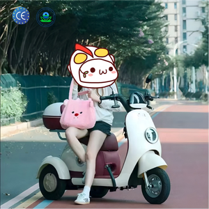 Tricycle électrique ouvert, petit modèle pour femmes, usage domestique, transport <span class=keywords><strong>adulte</strong></span>, loisirs, scooter électrique, vélo électrique - Product Image 4