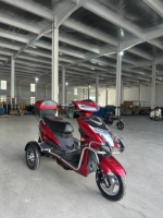 10 Inch Electric Motorcycle Tricycle 500/650/800W/1000W 30km/h Speed Electric Tricycle for Adults Disabled