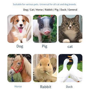 Tren Baru: Perangkat Terapi Cahaya Inframerah untuk Anjing, Terapi Cahaya Merah dengan Kit Terapi Inframerah untuk Anjing - Product Image 4