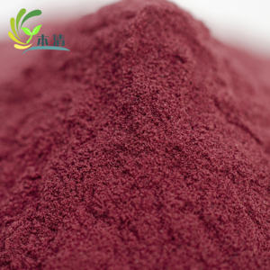 Poudre lyophilisée de fruit de <span class=keywords><strong>cassis</strong></span> Poudre de jus de <span class=keywords><strong>cassis</strong></span> <span class=keywords><strong>à</strong></span> <span class=keywords><strong>vendre</strong></span> - Product Image 2