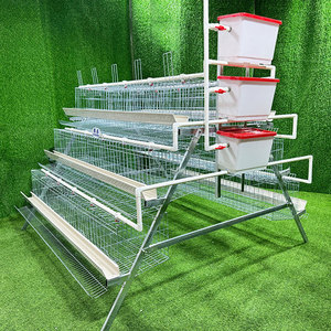 Bán Hot Mạ Kẽm Tự Động Một Loại Lồng Gà Lớp Gia Cầm Cho Thiết Bị Nông Nghiệp - Product Image 2