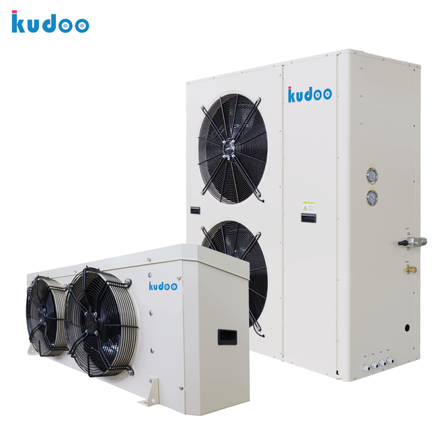 Complete Cold Storage Refrigeration Unit Full Set Condensing Unit &Air Cooler Bakery Raw Materials Low Temperature Cold Storage