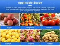 Automatische Jujube En Dadels Vruchtensap Siroop Verwerkingslijn Apple Sorteerder Groente Sorteermachine Voor Aardappel