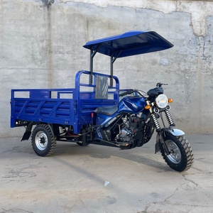 Triciclo de Carga de Gasolina de 3 Ruedas en Oferta, Motor de 200cc, Fabricación China, con Toldo, Motocicleta de Tres Ruedas con Techo Personalizado - Product Image 6