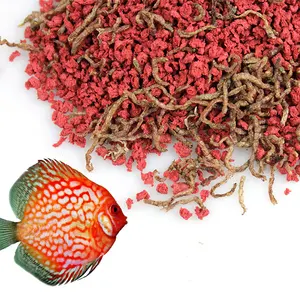 Bits for discus with bloodworm freeze dried bloodworm discus food made in china