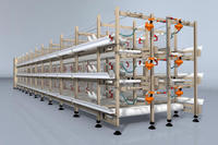 Solutions Complètes pour l'Élevage de Volailles : Équipement de Cage d'Élevage de Poulets de Chair Type H avec Système Automatique d'Évacuation du Fumier pour Ferme
