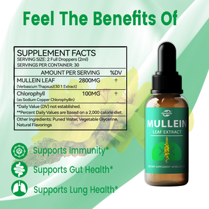 Gotas de Verbasco Haccp OEM ODM para Adultos y Niños, Soporte Antioxidante para la Salud Pulmonar, Fibra Dietética, Gotas Líquidas de Verbasco - Product Image 2