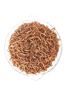 หนอนนกอบแห้งแบบเป็นก้อน อาหารปลาสำหรับปลาเบต้าฟลาวเวอร์ฮอร์น - Product Image 5