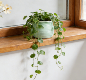 Vasi in Ceramica all'Ingrosso, Vasi in Argilla per <span class=keywords><strong>Piante</strong></span> <span class=keywords><strong>da</strong></span> Esterno, Vasi in Ceramica per <span class=keywords><strong>Balcone</strong></span>, Fioriere - Product Image 4