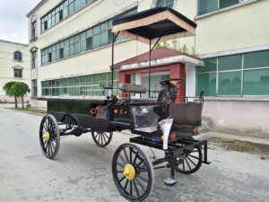 Carroza Fúnebre Eléctrica Negra con Cubierta de Vidrio / Carroza para Ataúd Tirada por Caballos - Product Image 3