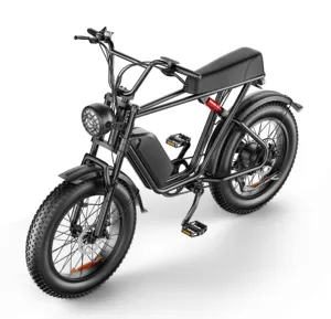 미국 EU 창고 C91 Ebike 1000W 48V 20Ah 장거리 20 인치 뚱뚱한 자전거 성인 전기 하이브리드 자전거 다목적 전기 자전거