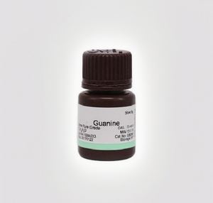 Guanosine CAS 73-40-5 98% HPLC Poudre blanche Nucleoside pour <span class=keywords><strong>la</strong></span> recherche sur l'ARN <span class=keywords><strong>Biologie</strong></span> <span class=keywords><strong>moléculaire</strong></span> Réactif biochimique - Product Image 1