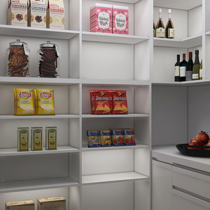 New Arrival Reasonable Price Kitchen Quartz Countertops Kitchen Storage Cabinet Shaker Modern Designs